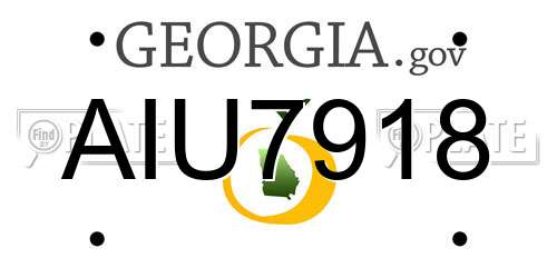 AIU7918 Georgia License Plate