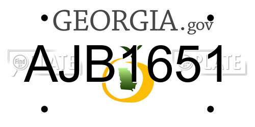 AJB1651 Georgia License Plate