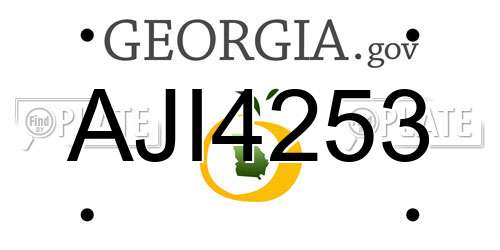 AJI4253 Georgia License Plate