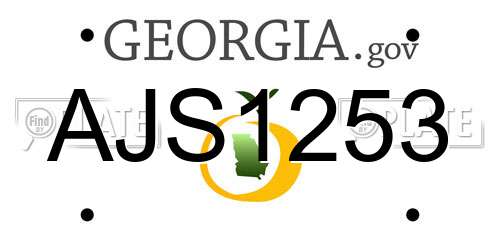 AJS1253 Georgia License Plate