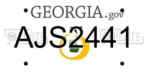AJS2441 Georgia License Plate