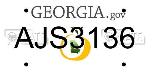 AJS3136 Georgia License Plate