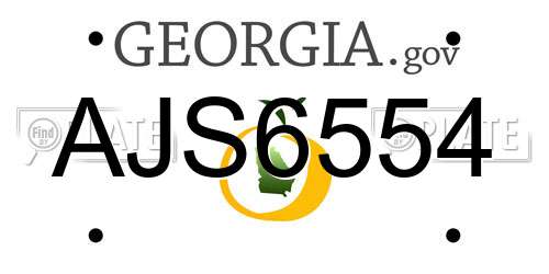 AJS6554 Georgia License Plate