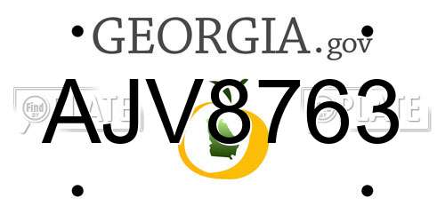 AJV8763 Georgia License Plate