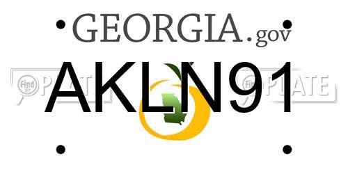 AKLN91 Georgia License Plate