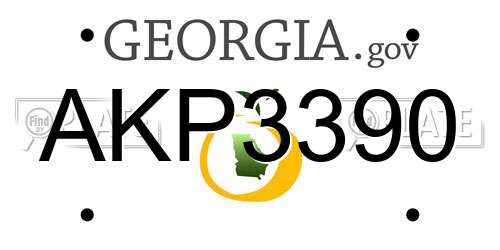 AKP3390 Georgia License Plate