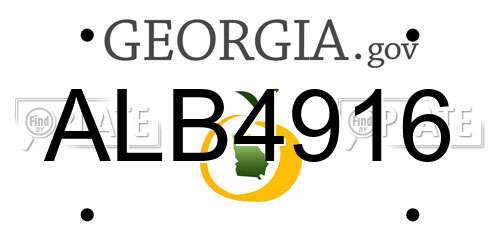 ALB4916 Georgia License Plate