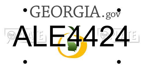 ALE4424 Georgia License Plate