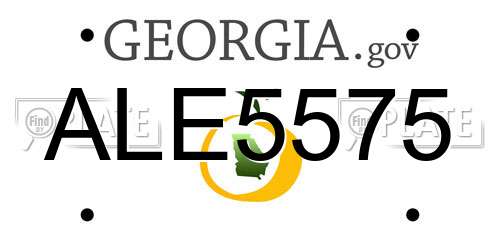 ALE5575 Georgia License Plate
