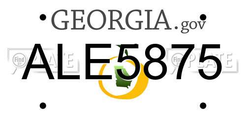 ALE5875 Georgia License Plate