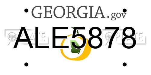 ALE5878 Georgia License Plate