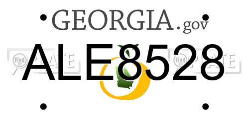 ALE8528 Georgia License Plate