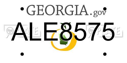 ALE8575 Georgia License Plate