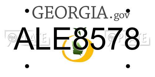 ALE8578 Georgia License Plate