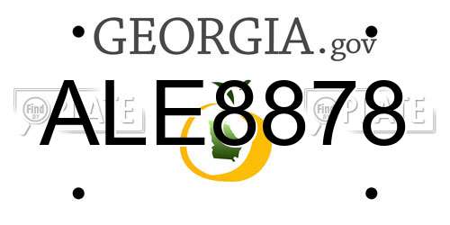 ALE8878 Georgia License Plate