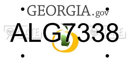 ALG7338 Georgia License Plate