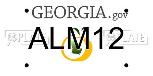 ALM12 Georgia License Plate