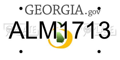 ALM1713 Georgia License Plate