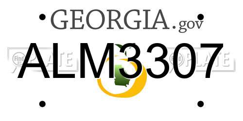 ALM3307 Georgia License Plate