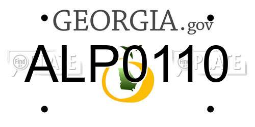 ALP0110 Georgia License Plate
