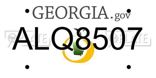 ALQ8507 Georgia License Plate