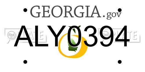 ALY0394 Georgia License Plate