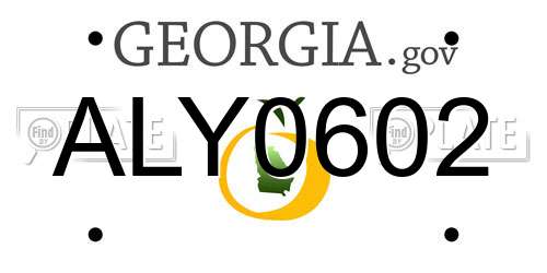 ALY0602 Georgia License Plate