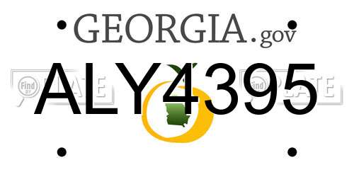 ALY4395 Georgia License Plate