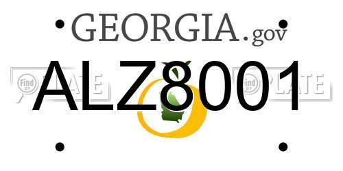 ALZ8001 Georgia License Plate