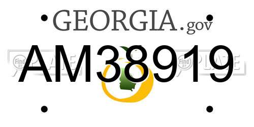 AM38919 Georgia License Plate