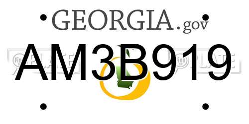 AM3B919 Georgia License Plate