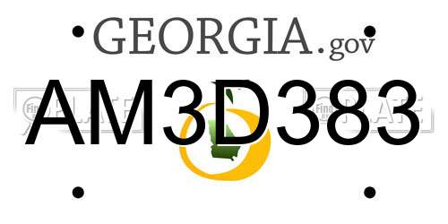 AM3D383 Georgia License Plate