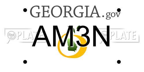 AM3N Georgia License Plate