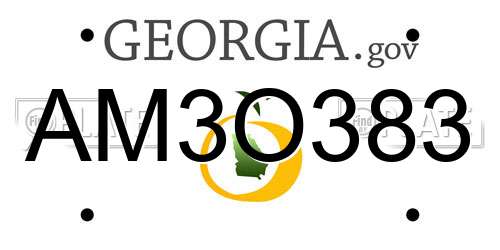 AM3O383 Georgia License Plate