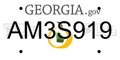 AM3S919 Georgia License Plate