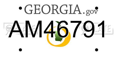 AM46791 Georgia License Plate