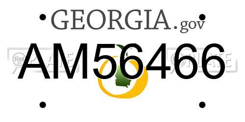 AM56466 Georgia License Plate