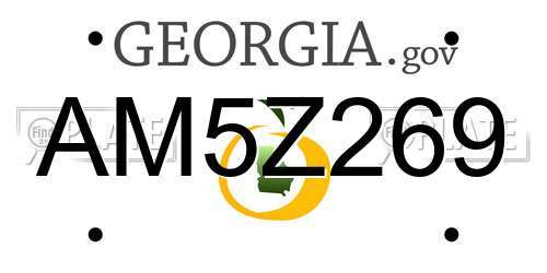 AM5Z269 Georgia License Plate