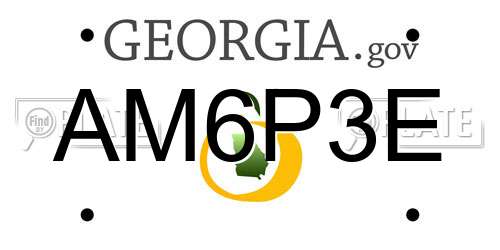 AM6P3E Georgia License Plate
