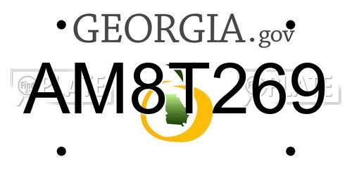 AM8T269 Georgia License Plate