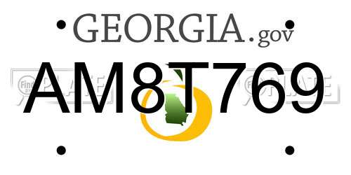 AM8T769 Georgia License Plate