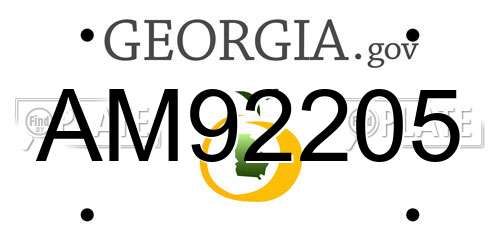 AM92205 Georgia License Plate