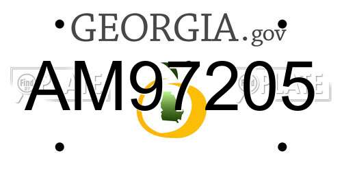 AM97205 Georgia License Plate