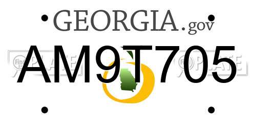 AM9T705 Georgia License Plate