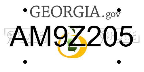 AM9Z205 Georgia License Plate