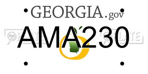 AMA230 Georgia License Plate