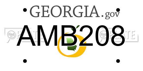 AMB208 Georgia License Plate