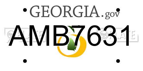 AMB7631 Georgia License Plate