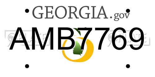 AMB7769 Georgia License Plate