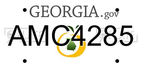 AMC4285 Georgia License Plate